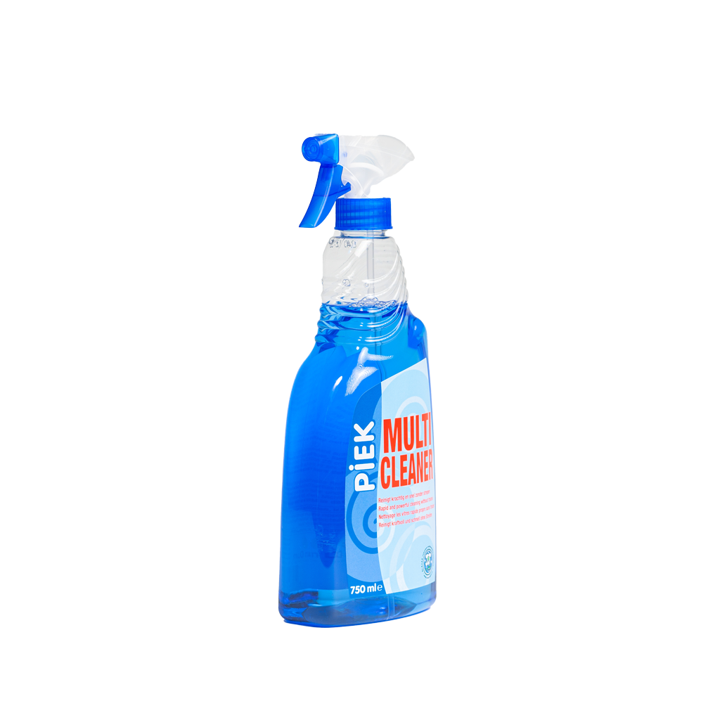 Spray nettoyant rapide 750 ml